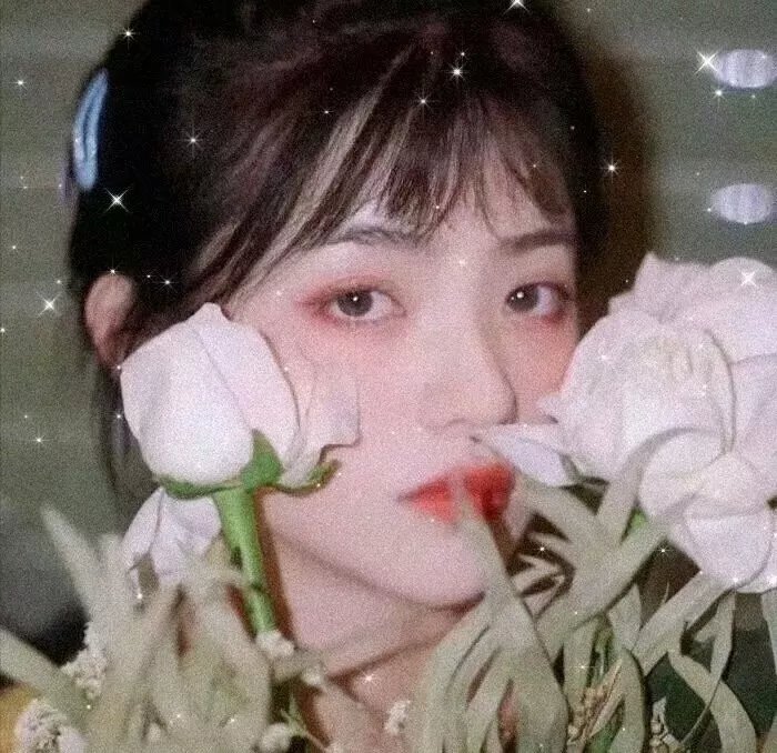 羊羔